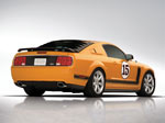 Saleen Mustang