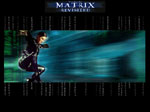 Matrix Revisited