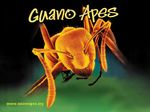 Guano Apes