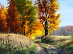 Autumn